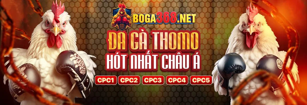Đá Gà Trực Tuyến 188bey code