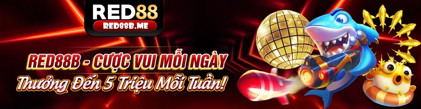 Hình ảnh chính blog 188bey code với các bài viết chuyên sâu về cá cược trực tuyến