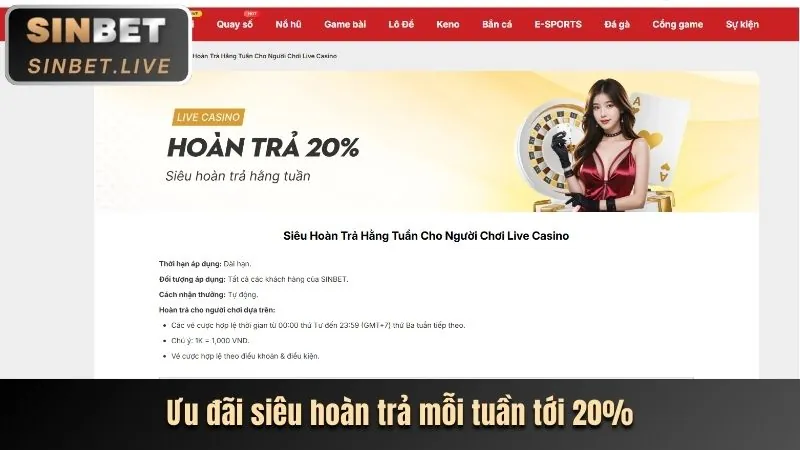 Xu hướng cá cược 2026
